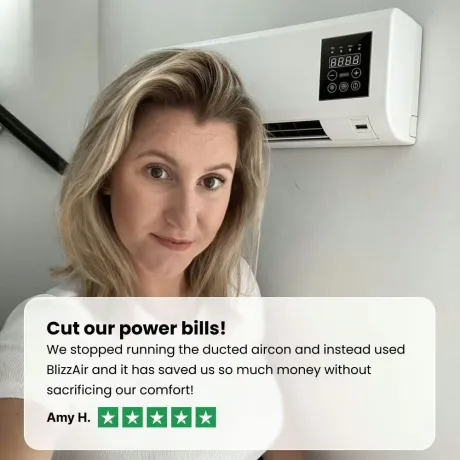BlizzAir happy customer reviews